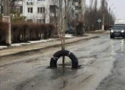 Спиленными деревьями коммунальщики решили проблему открытых люков под Волгоградом