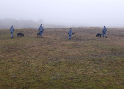 Названа причина смерти 16-летнего подростка под Волгоградом