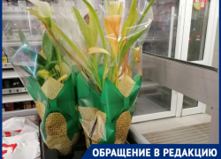 Волгоградка назвала «Магнит» убийцами растений