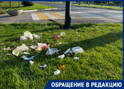 Туристов в волгоградском аэропорту встретила внушительная куча мусора