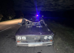 Волгоградец на "Жигули" погиб в столкновении с лосем