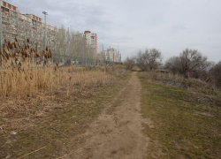 Волгоградских чиновников вывезли на пустырь с перспективой в 24 миллиарда