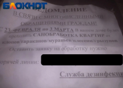 Темную хотят устроить волгоградцы непрошенным тараканьим дезинфекторам