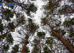 Женщина насмерть замерзла около роддома в Волгограде