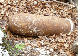 Под Волгоградом при взрыве боеприпаса времен ВОВ погибли мужчина и подросток