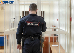 Три волгоградки организовали ОПГ и "нагрели" почти 200 человек