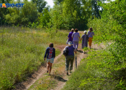 Под Волгоградом с собаками ищут бесследно пропавшего грибника 