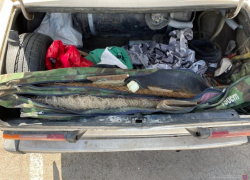 В Волгоградской области задержали троих рыболовов с запрещенными орудиями 