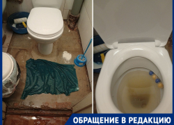 Фекальные фонтаны в квартирах вторые сутки просят заткнуть в двухэтажке на севере Волгограда