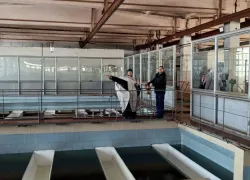 Святая вода польется из кранов избранных волгоградцев 