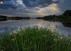 Труп мужчины обнаружили в Волгоградской области