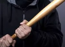 Двое братьев избили битой и ограбили жителя Михайловки