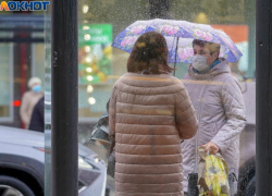 В  Волгограде установят 25 новых остановок-стекляшек за 25 млн рублей 