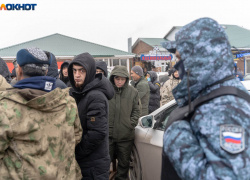 График работы миграционной службы на праздниках озвучили в Волгограде 