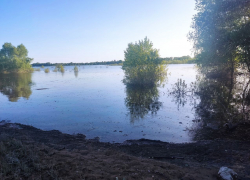 Тело 58-летнего отдыхающего выловили из реки Медведица под Волгоградом 