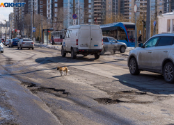 Ночь без угрозы об атаке БПЛА пережили волгоградцы