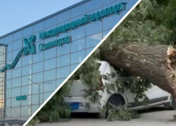 Рейсы на Москву и Шарм-эль-Шейх затормозили в волгоградском аэропорту