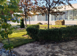 Взбесившую горожан проблему на объекте за два миллиарда начали устранять в Волгограде