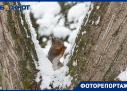 По-настоящему зимний Волгоград показал фотограф
