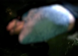 Труп из искорёженной машины попал на видео с волгоградской трассы