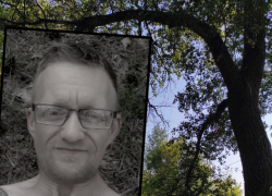 В 350 метрах от трассы: повешенным в лесу под Волгоградом найден пропавший мужчина