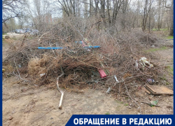 Все хорошее им, а мы как второй сорт: волгоградцев с окраины взбесили показательные субботники в центре
