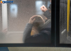 «Наплевали на нас и растерли»: волгоградские контролеры остановили автобус в час пик