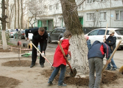Депутат Волгоградской гордумы взял в руки грабли
