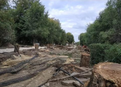 По приказу властей начато уничтожение аллеи на центральной набережной Волгограда