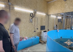 Бассейн с элитными осетрами нашли в волгоградском автосервисе — видео