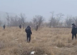 Человеческую ногу нашел прохожий в Волгограде