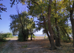 Под Волгоградом из пруда достали иномарку с трупом