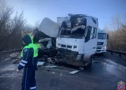 Есть погибший: кадры жуткого ДТП с фурами под Волгоградом 