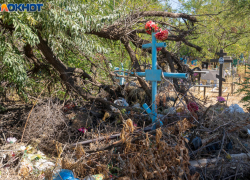 За 9 миллионов рублей в Волгограде ищут желающих целый год наводить порядок на кладбищах