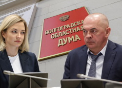 Волгоградские единороссы назвали двух главных прогульщиков в облдуме