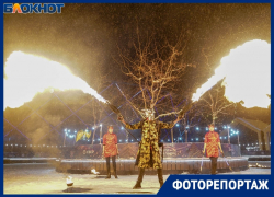 Китайский Новый год отметили с мега-огнем и 10-метровым драконом в Волгограде