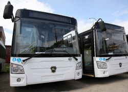Волгоградские дачники останутся без автобусов 