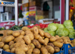 Волгоградстат: топ-5 самых подорожавших продуктов за неделю