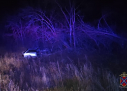 Навсегда 21-летний: волгоградский водитель погиб после столкновения с деревом