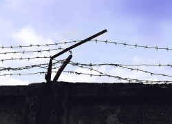 Четверо волгоградцев получили несколько лет "строгача" за попытку откупиться от уголовного дела