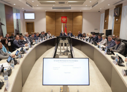 Волгоградские депутаты обсудили мужскую силиконовую грудь и искусственные члены у женщин