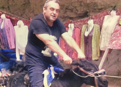 «Единая Россия» открестилась от подозреваемого в смертельном ДТП волгоградского депутата Алимова