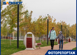 Яркие краски и простые радости жизни подарила золотая осень волгоградцам