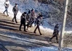 Парень в наручниках, вокруг толпа следователей: видео с подозреваемым сняли в Волгограде