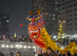 Волгоградцев приглашают встретить Лунный Новый год с драконами и дамплингами