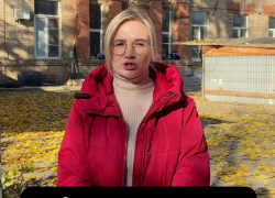 Приют на 2000 животных отключили от отопления в Волгограде