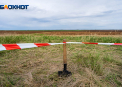 Педофил изнасиловал и убил тетю под Волгоградом