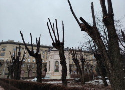 Уродство с улицы вязов: волгоградцы пришли в шок от реконструкции в центре