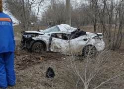Hyundai протаранил дерево в Волгограде: есть погибшие
