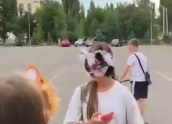 "Их надо убивать": квадроберов закидали камнями в Волгограде — видео